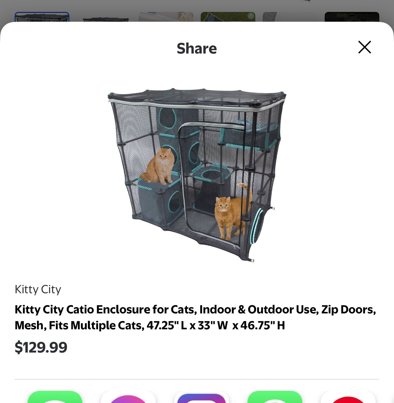 Kitty City Catio Indoor/outdoor