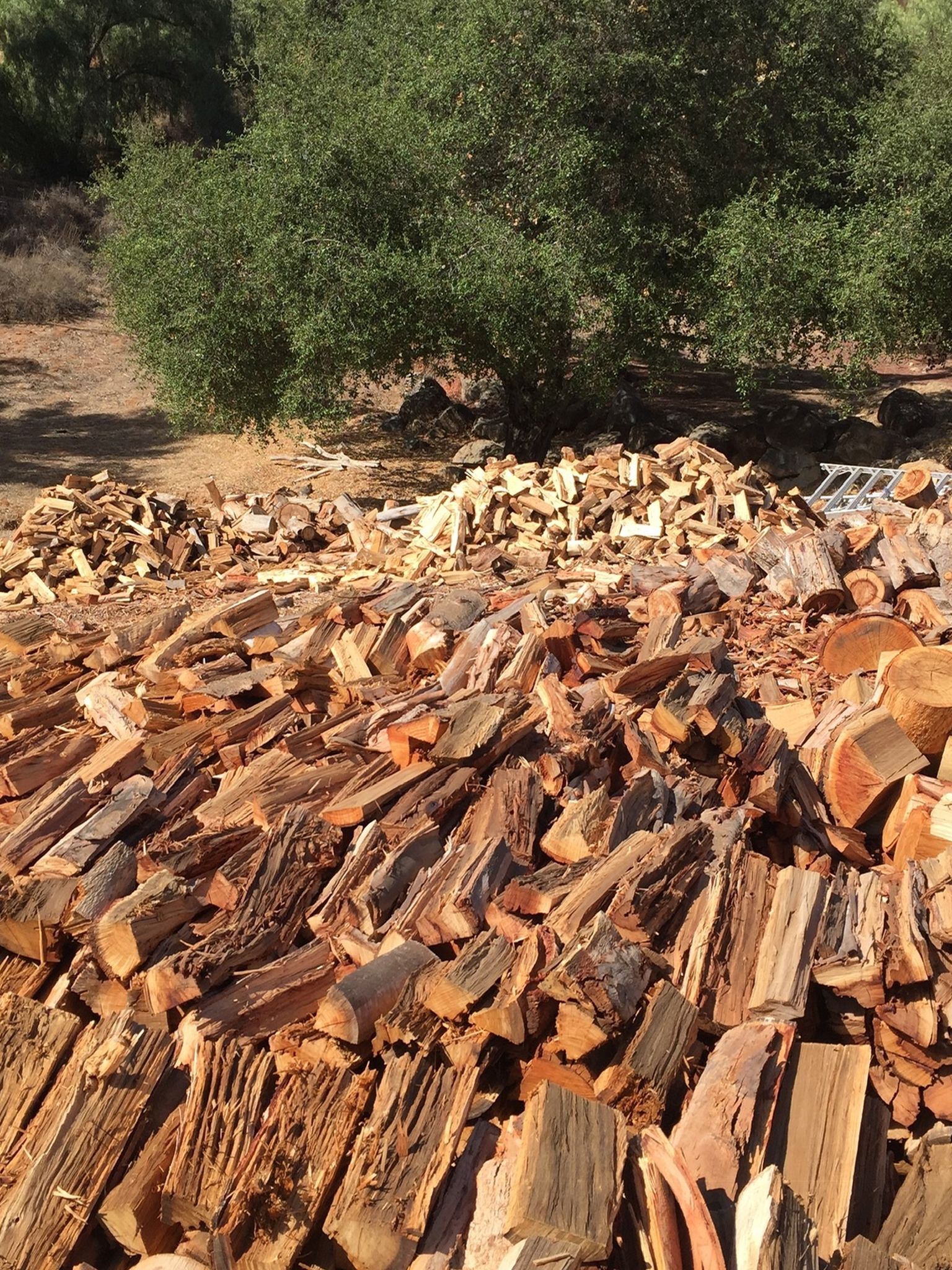 Split, Seasoned Firewood