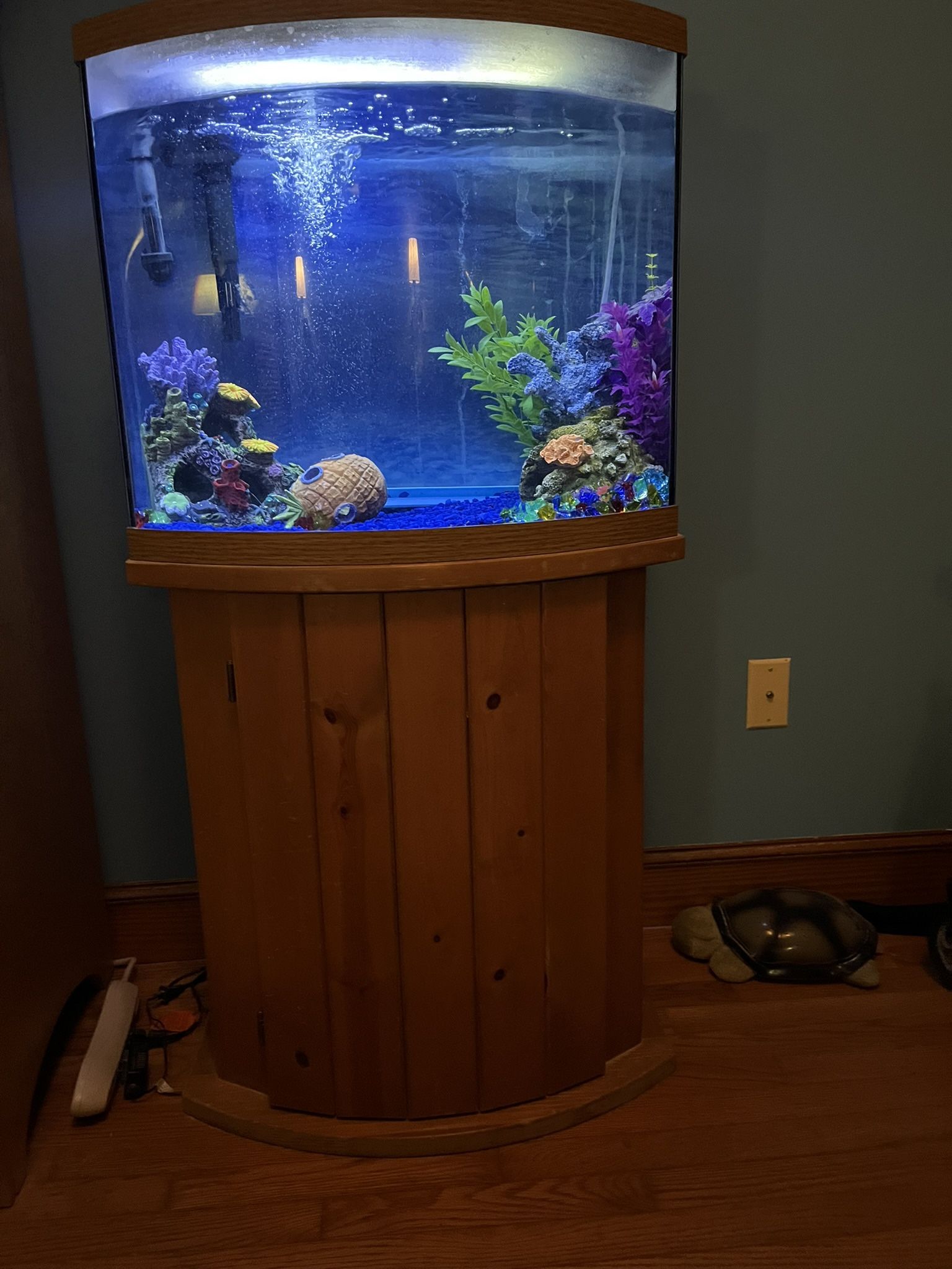Fish Tank