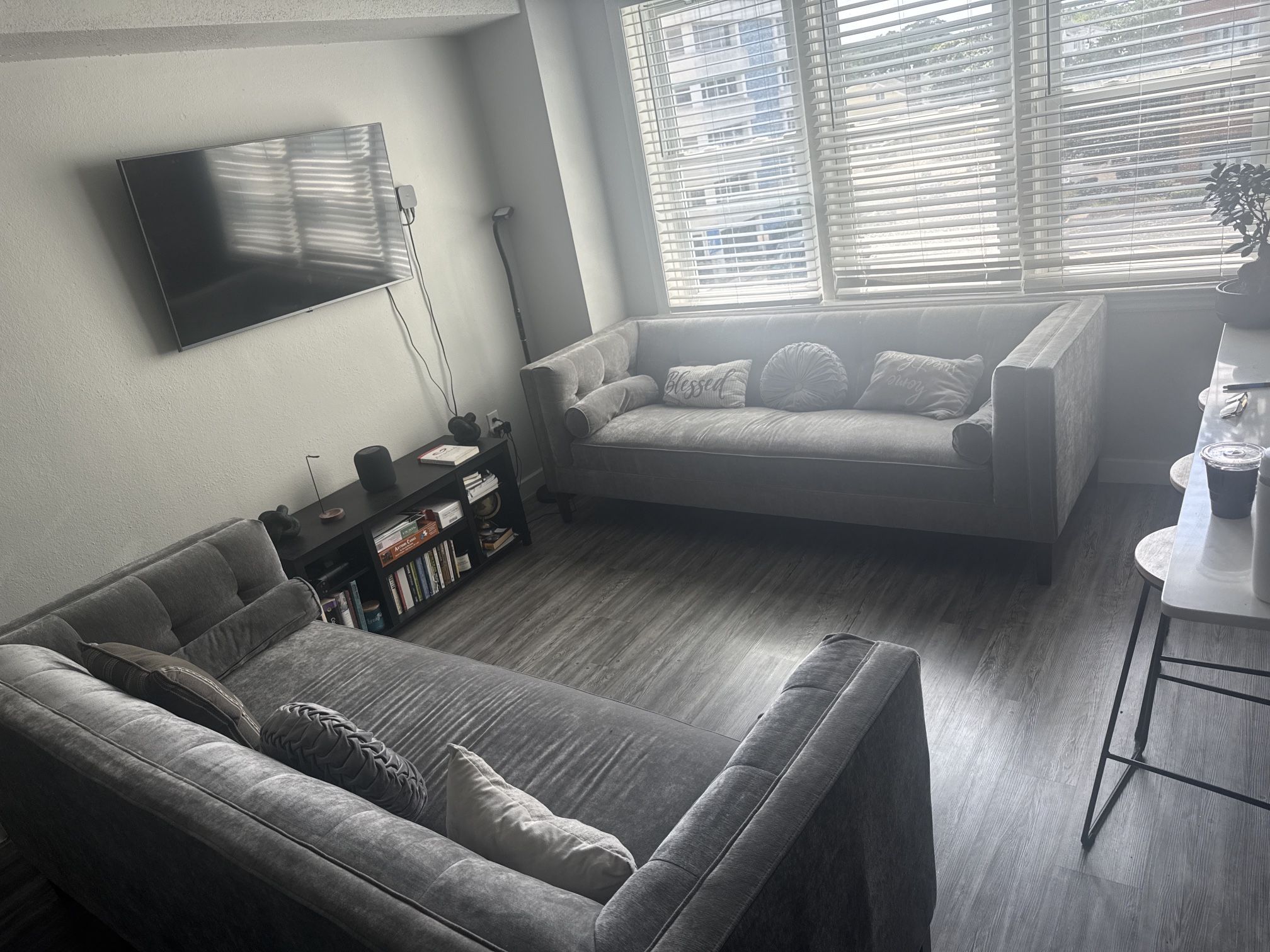 Modern Tufted Velvet Sofa Set – Excellent Condition
