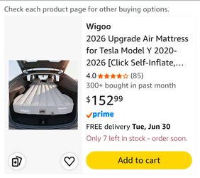 TESLA Air Mattress