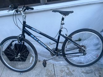 Raleigh SC40