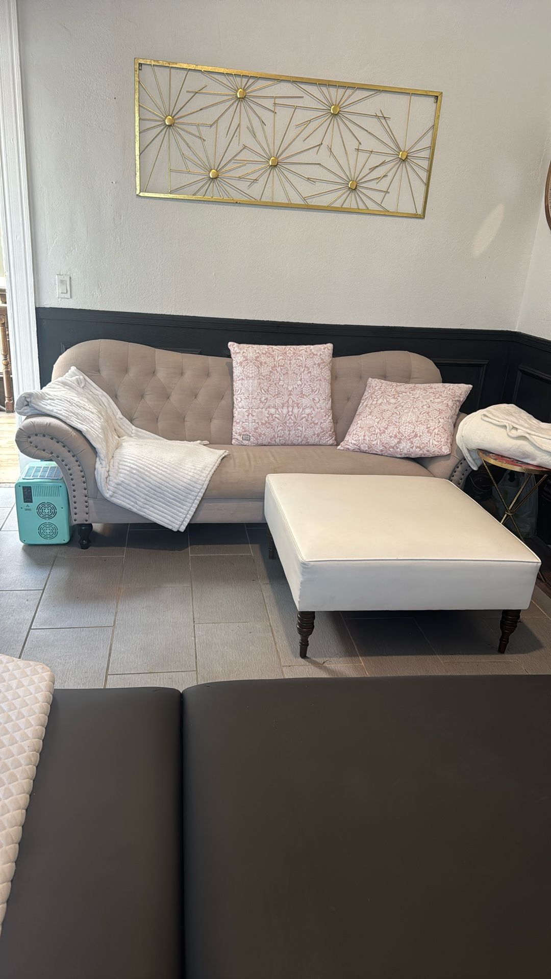 Couch and Ottoman 