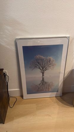 24x36 silver picture frame