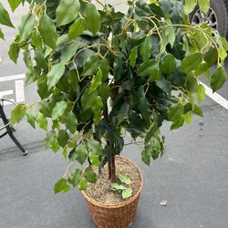 Small Faux Tree In Basket 