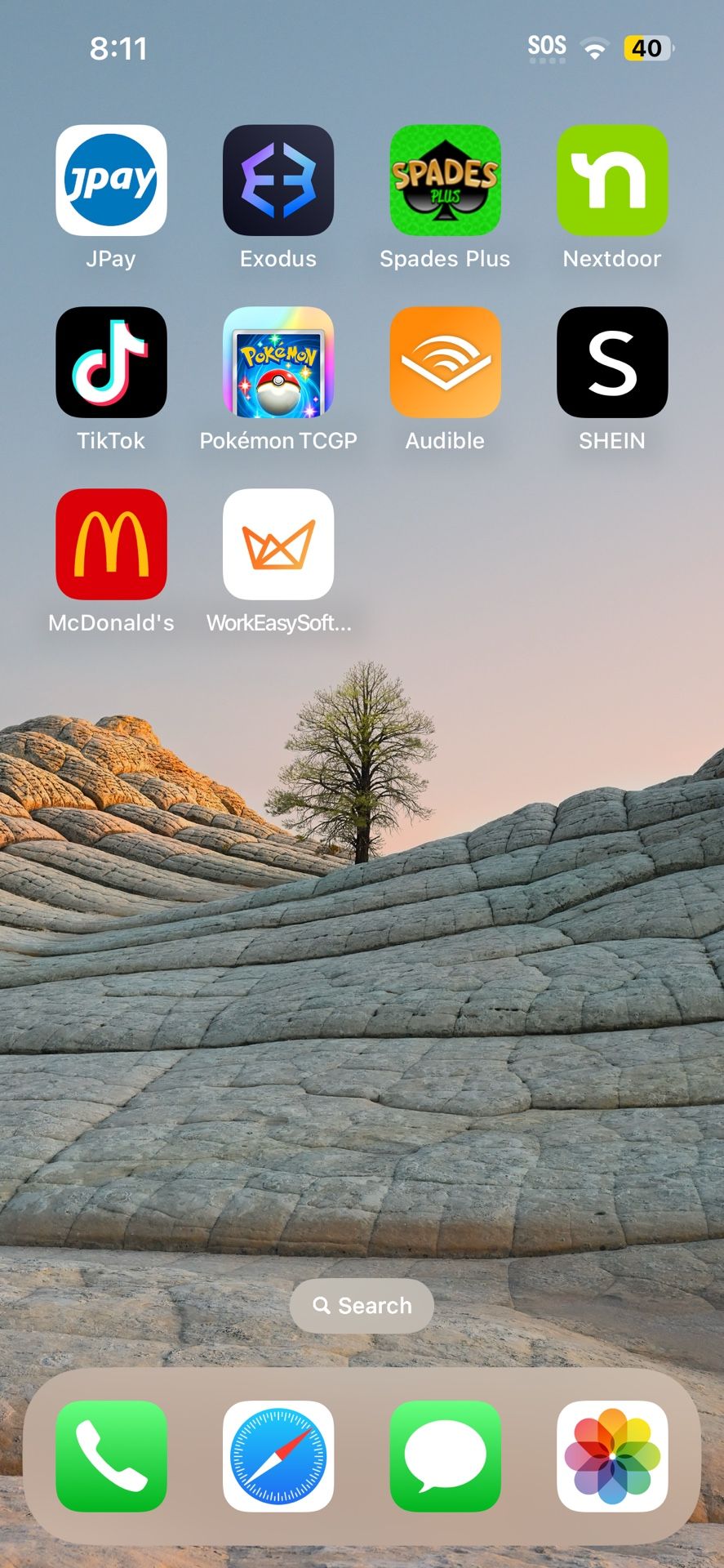 iPhone 13 TikTok Installed