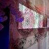 Interior Desing & Build 