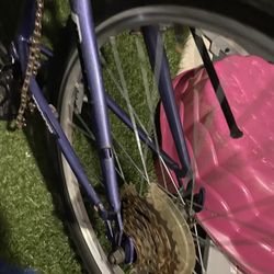 24” Bike