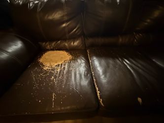 Couches for sale