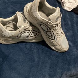 B30 Dior Shoes