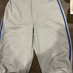 Champro baseball Pants 