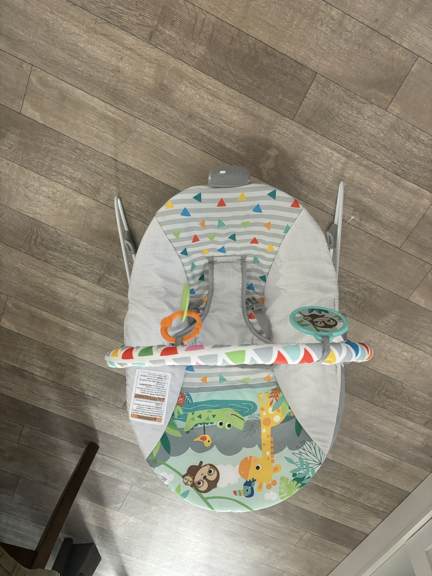 Baby Bouncer 