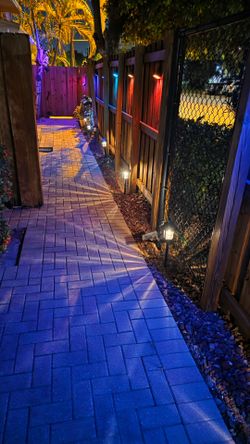Solar evening lights