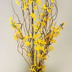 Beautiful Large Ceramic Vase with Forsythia Flowers. 