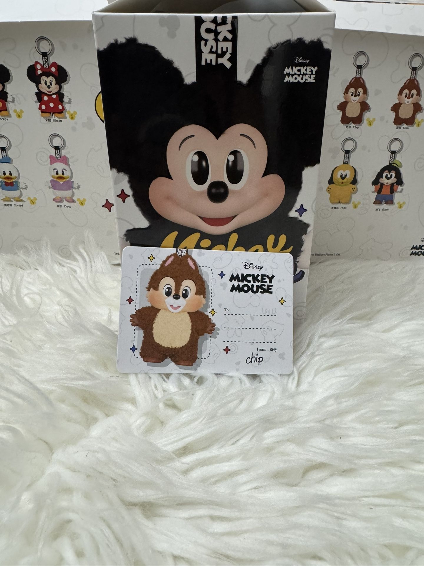 Mickey Mouse Family