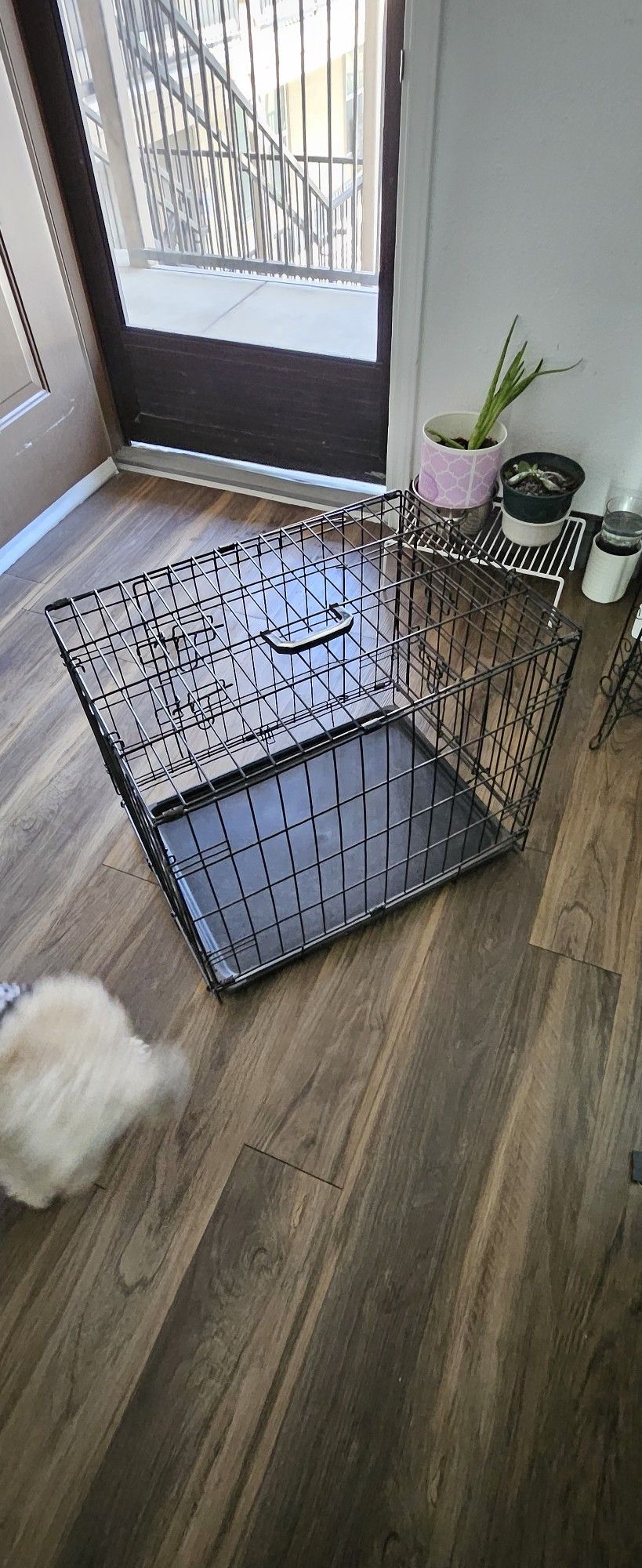 dog cage