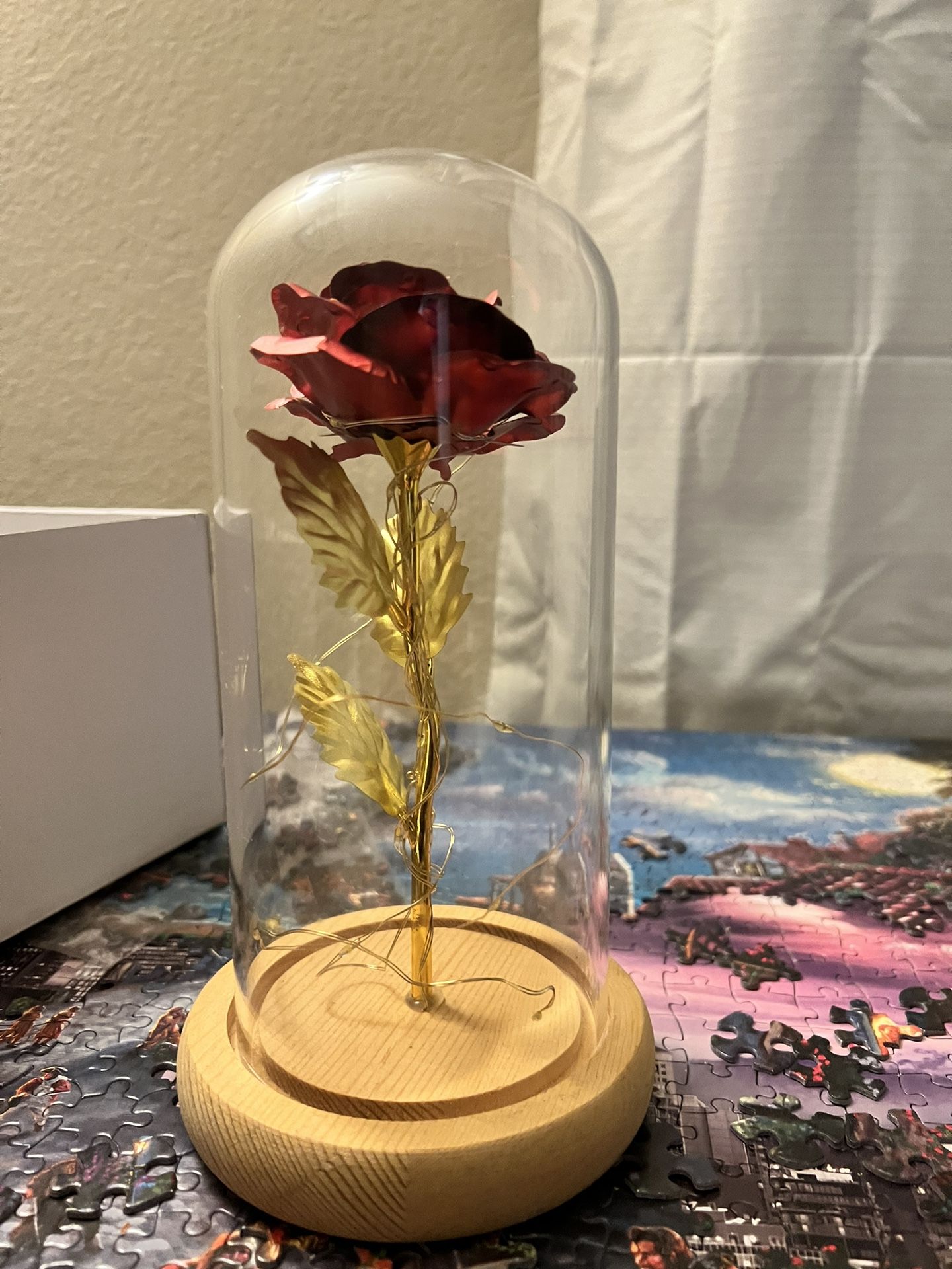 Beauty and Beast Rose