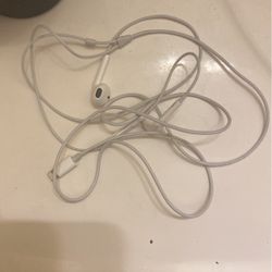 Apple Headphones