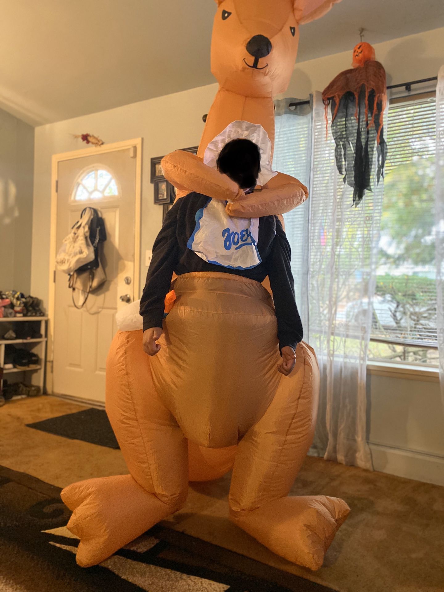 Halloween costume- kangaroo Joey used once