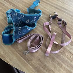 Dog Harness