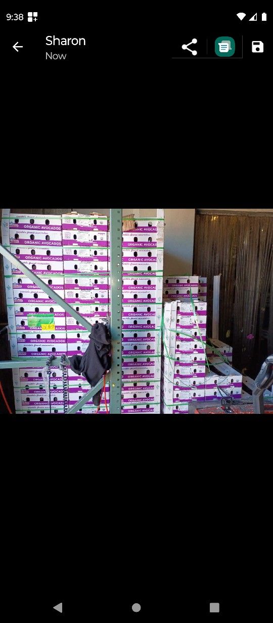 Avocado Boxes