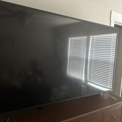 65” LED Vizio Flat Screen TV