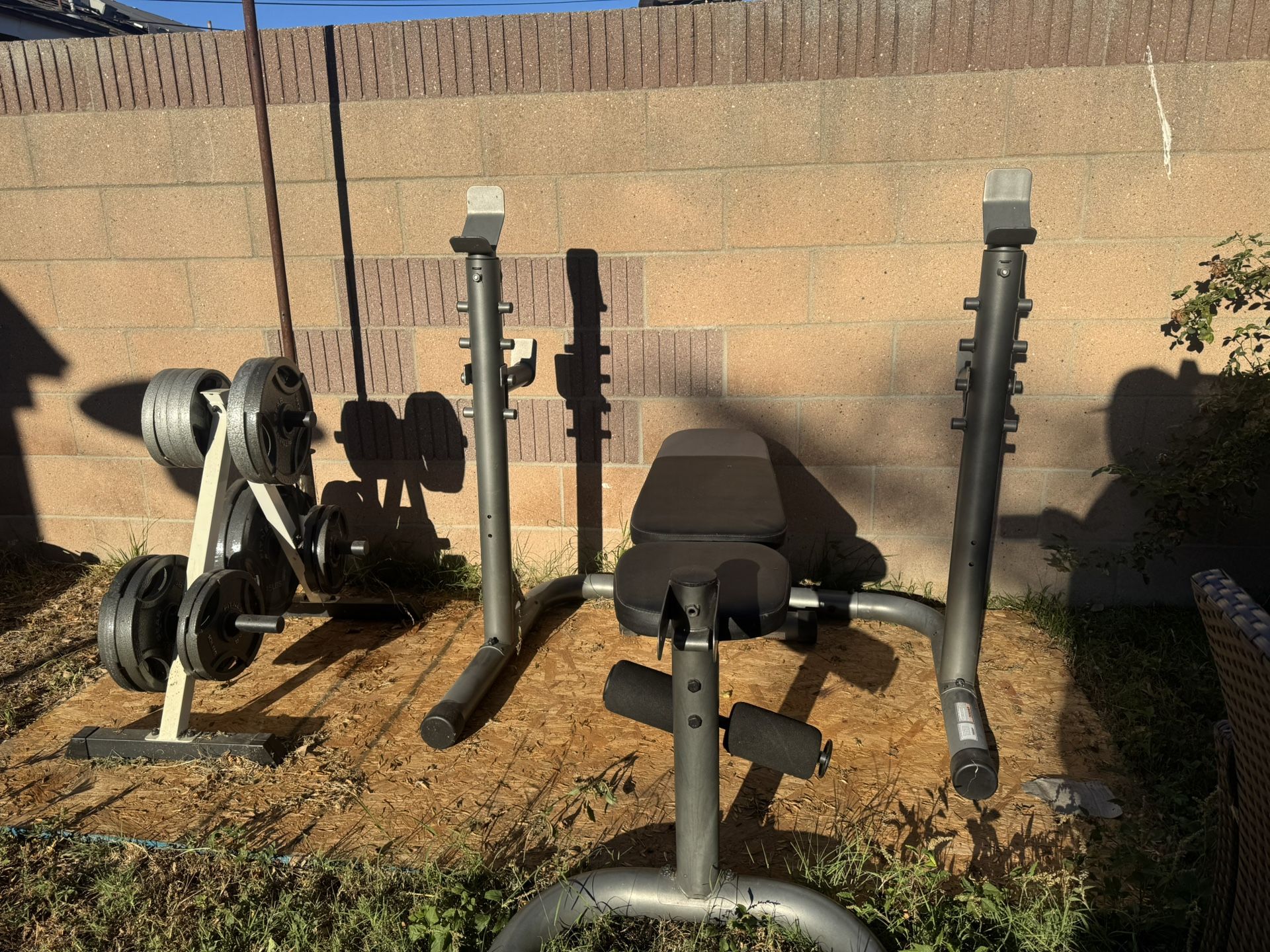 Weight Bench, Olympic bar, Weights And Weight Tree
