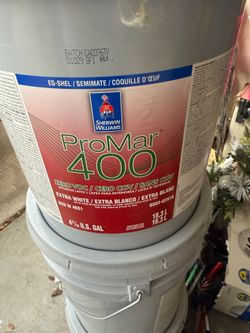 Paint pintura