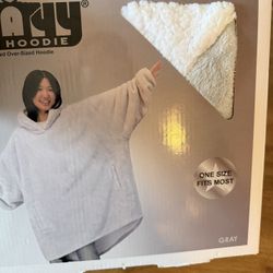 The Wayy Big Hoodie 