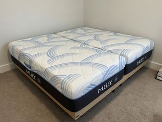 Brand New Mattress Its Never Been Slept On