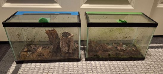 Glass terrariums