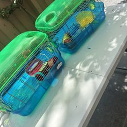 hamster cages