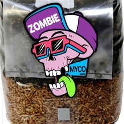 Mini Mushroom Growing Kit