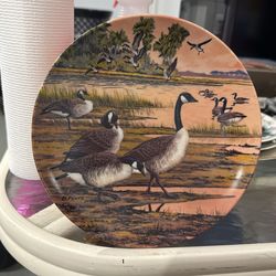 Collectors Plate