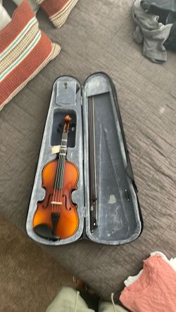 Viola