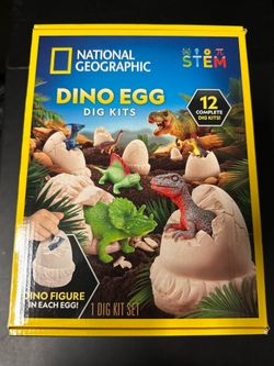 Dino Egg Dig Kit