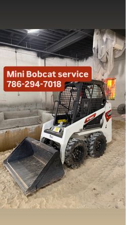 Mini Bobcat 36”