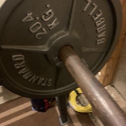 Weights and Bench For Sale