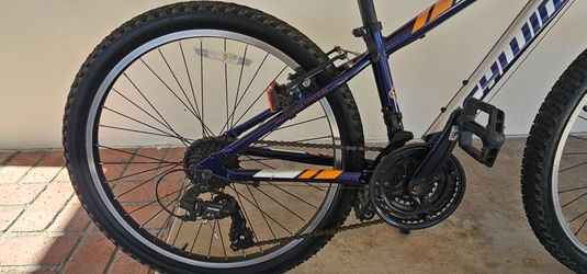 Bike schwinn