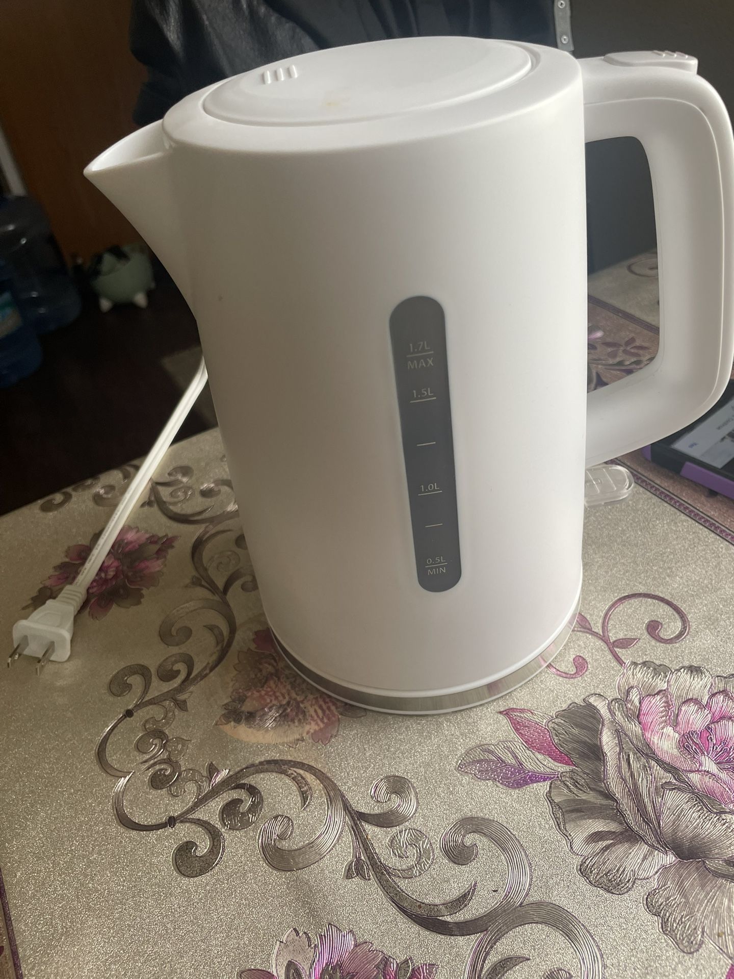 Electronic Kettle