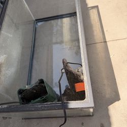 Fish Tank