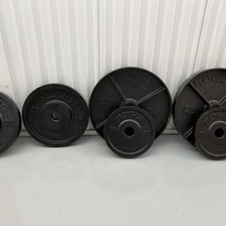 Rogue Deep Dish Plate Set, Rack, Bench And Bella Bar