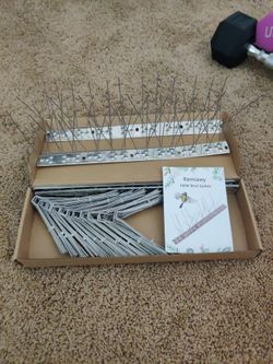 Bird spikes