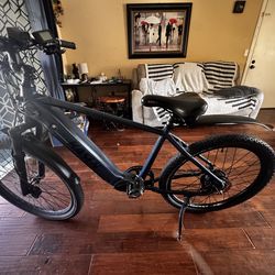 Kasen city e-bike