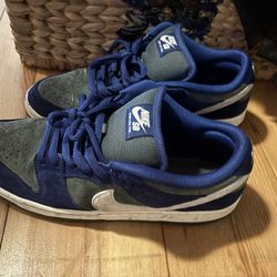 Nike Sb Dunk Low Pro 