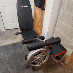 Adjustable Weight Bench Plus 100lbs Of Weight 