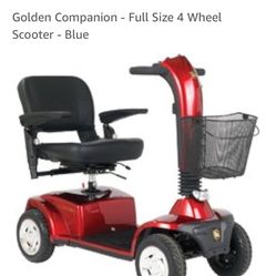 Color Blue-Golden companion scooter