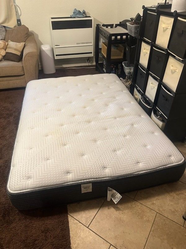 Queen Plush Mattress - GREAT CONDITION