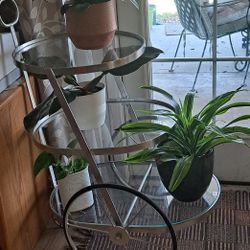 MCM  Bar Car, Or Plant Trolley