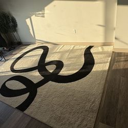 8 X 10 Accent Cream & Black Rug 